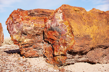 Image showing Petrified-Forest-National-Park, Arizona, USA