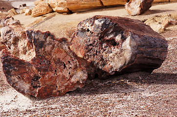 Image showing Petrified-Forest-National-Park, Arizona, USA