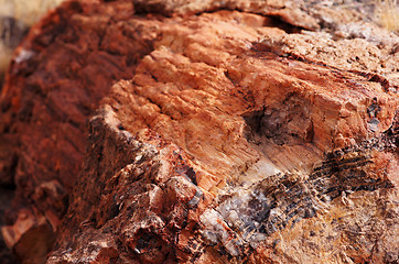 Image showing Petrified-Forest-National-Park, Arizona, USA