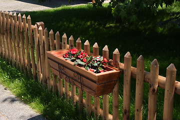 Image showing Flowers on fence