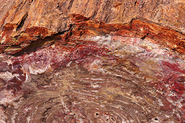 Image showing Petrified-Forest-National-Park, Arizona, USA