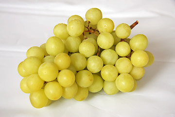 Image showing Fresh grapes