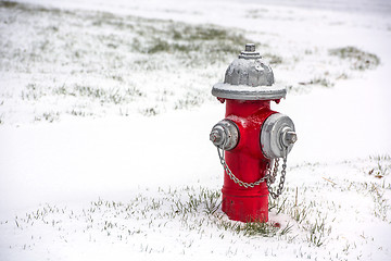 Image showing Fire Hydrant