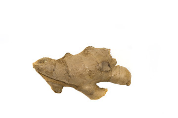 Image showing Ginger