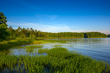 Image showing Habitat