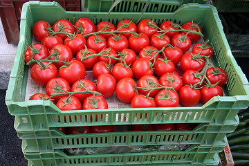 Image showing Tomatoes in crates