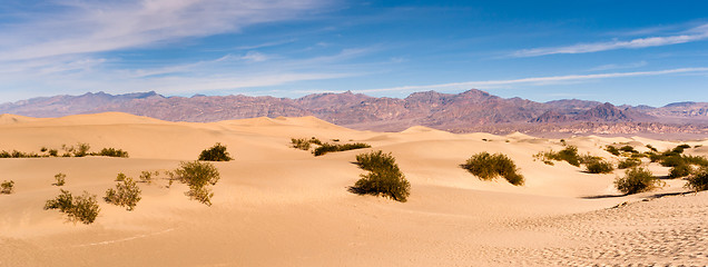 Image showing landscape; nature; desert; sand; orange; pattern; valley; park; 