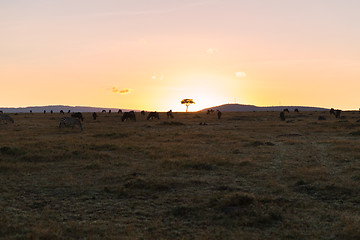 Image showing group of herbivore animals in savannah at africa