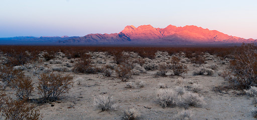 Image showing Providence Mountains Fountain Peak Mojave Panoramic Desert Lands