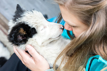 Image showing Small Border Collie puppy in the arms of a woman