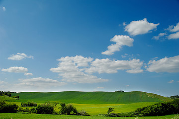 Image showing Landscape