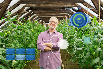 Image showing happy senior man at farm greenhouse