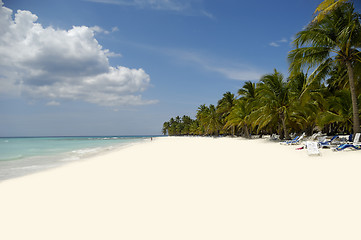 Image showing Exotic beach