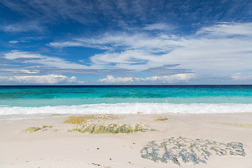 Image showing beach in indian ocean on seychelles