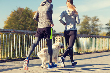 Image showing close up of couple with dog running outdoors