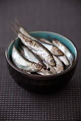 Image showing bowl of anchovies