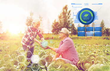 Image showing senior couple picking cabbage on farm