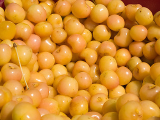 Image showing Yellow cherries