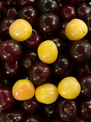 Image showing Cherry smiley