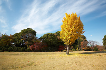 Image showing oriental landscape