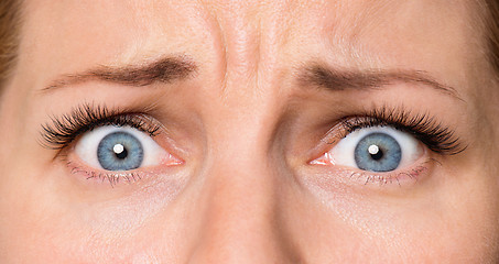 Image showing Face woman with eyes and eyelashes