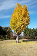 Image showing oriental landscape