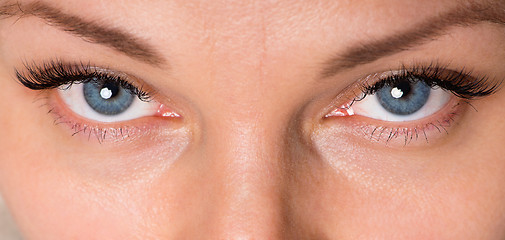 Image showing Face woman with eyes and eyelashes