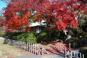 Image showing japanese tea house