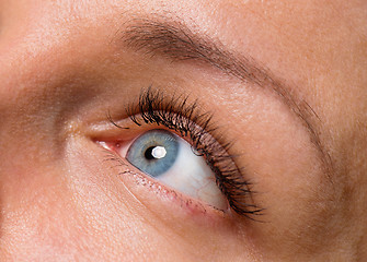 Image showing Face woman with eyes and eyelashes