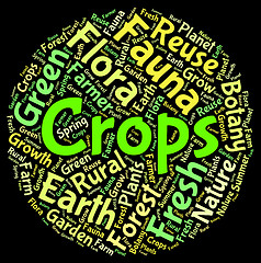 Image showing Crops Word Shows Harvests Grains And Grain