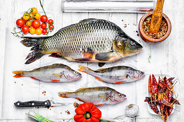 Image showing Raw fish on parchment