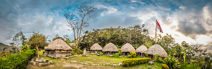 Image showing Row of straw houses