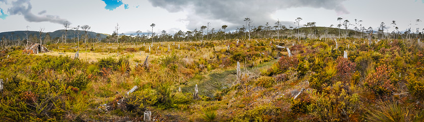 Image showing Panorama of field