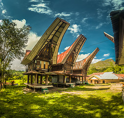 Image showing Wooden tongkonans in Sangalla