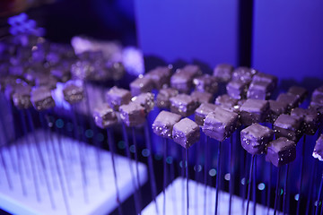 Image showing stylish luxury decorated orange candy bar for the celebration of a wedding of happy couple, cathering in the restaurant.