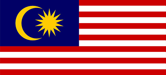 Image showing Colored flag of Malaysia