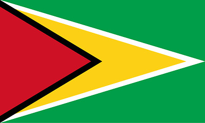 Image showing Colored flag of Guyana