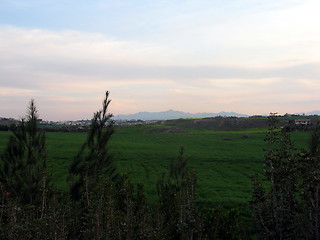 Image showing Urban nature. Nicosia. Cyprus