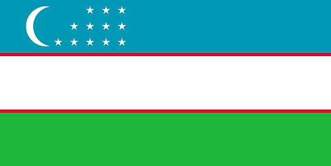 Image showing Colored flag of the Uzbekistan