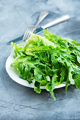 Image showing rucola