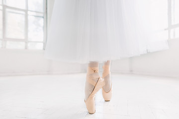 Image showing Young ballerina, closeup on legs and shoes, standing in pointe position.