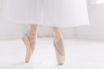 Image showing Young ballerina, closeup on legs and shoes, standing in pointe position.