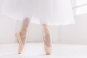 Image showing Young ballerina, closeup on legs and shoes, standing in pointe position.