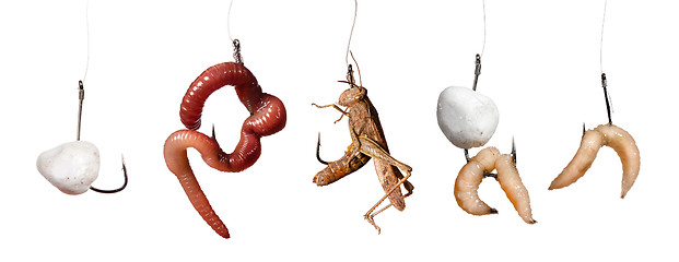 Image showing set of baits on the hook isolated on white background