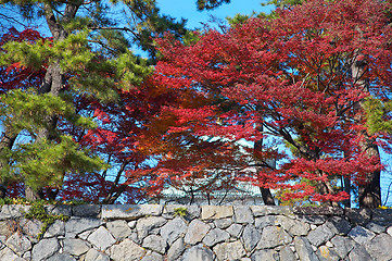 Image showing Stone wall with trees