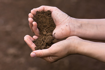 Image showing soil in hands