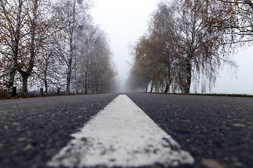 Image showing asphalted road, autumn