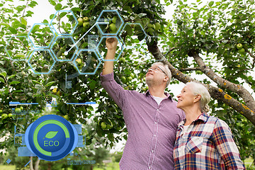 Image showing senior couple with apple tree at summer garden