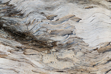 Image showing old weathered wooden surface