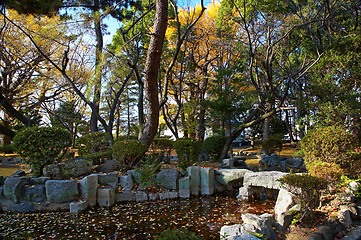 Image showing oriental garden